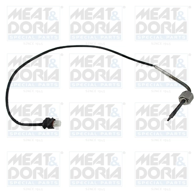 Sensor, exhaust gas temperature